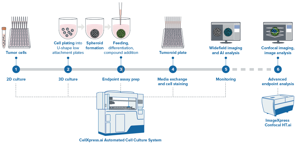 Schematic diagram of automated spheroid culture