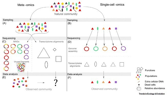 The key steps, features and limitations of meta -omics (left) and single-cell -omics (right).