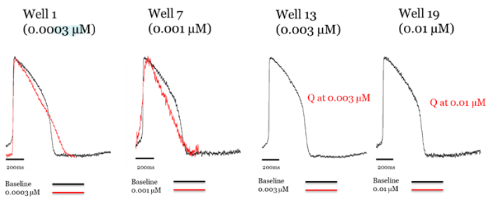 Addition of classic hERG blocker dofetilide to axoCells ventricular cardiomyocytes produces hERG blockade at low concentrations (demonstrated by triangulation of the action potential ), with quiescence at high concentrations. Raw trace comparing control (black) to treatment with dofetilide (red)