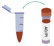Quantification and quality assurance of isolated nuclei