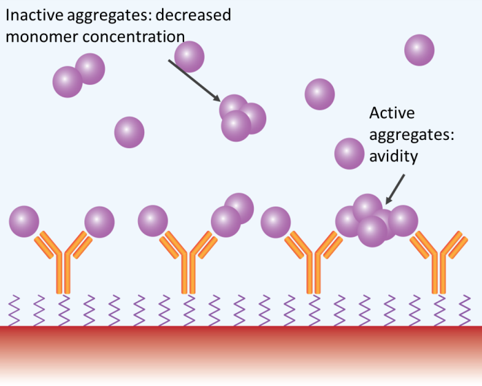 Aggregates may impact SPR and BLI measurements in several ways