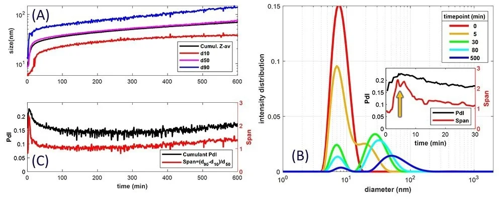 Using the NanoFlowSizer Thalia-2 with PhaSR-DLS mode to monitor details of BSA-protein solutions during thermal unfolding and aggregation A) Z-av size and cumulative percentile sizes d10, d50 and d90, of the intensity-based size distribution. B) Intensity-based size distributions at different stages of the experiment. Inset: Characteristic of the width of the distribution during aggregation, for the first 30 minutes: black: the polydispersity index obtained from cumulant analysis, red: the span obtained from the intensity distributions C) The PdI and span for the whole time scale of the experiment.