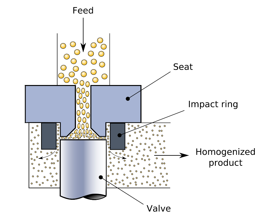 Schematic of the High Pressure Homogenization Process.