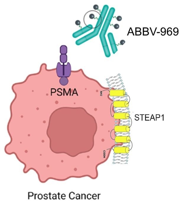 Mechanism of ABBV-969