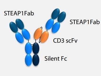 Structure of AMG 509