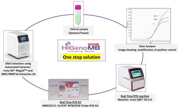 Image representing workflow of the process and One Stop Solution offered by HiGenoMB®