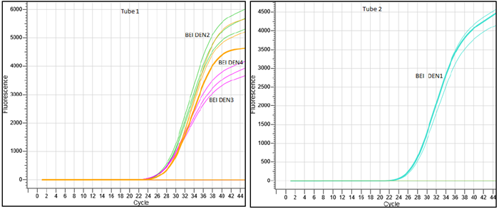 Image representing probe based Real-Time amplification plots of BEI Resources DENV 1-4 serotypes confirmed by Hi-PCR® Dengue Serotyping Probe PCR Kit 2.0 on Insta Q96® Plus Real Time PCR System.