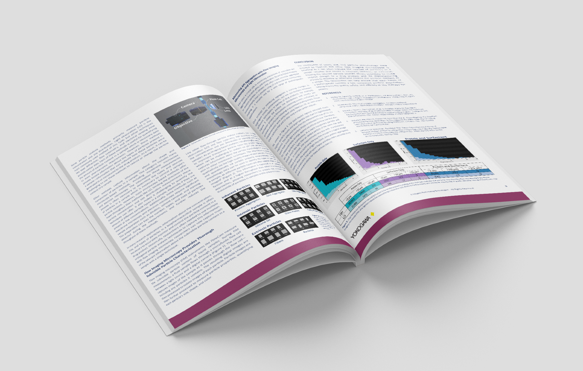 A deeper understanding of subvisible particles