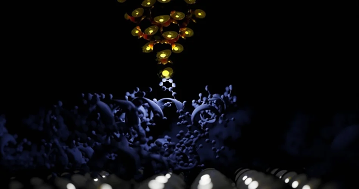 What can you do with a BioAFM instrument?