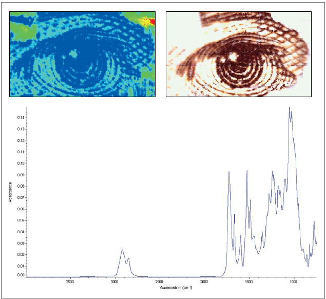 (Upper left) Chemical image of Andrew Jackson’s eye on $20 U.S. currency (Upper right) Video mosaic of Jackson’s eye (Lower) Black ink spectrum collected by Tip ATR. Chemical imaging highlights the distribution, while ATR analysis provides detailed spectral information of the ink.
