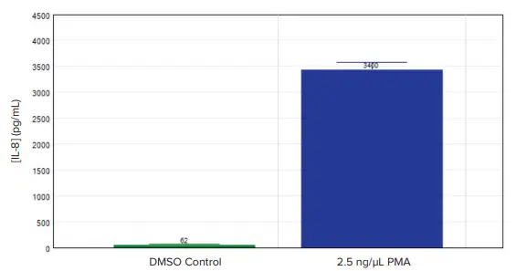 IL-8 concentrations measured in undifferentiated (DMSO control) and differentiated (2.5 ng/µL PMA) THP-1 cells