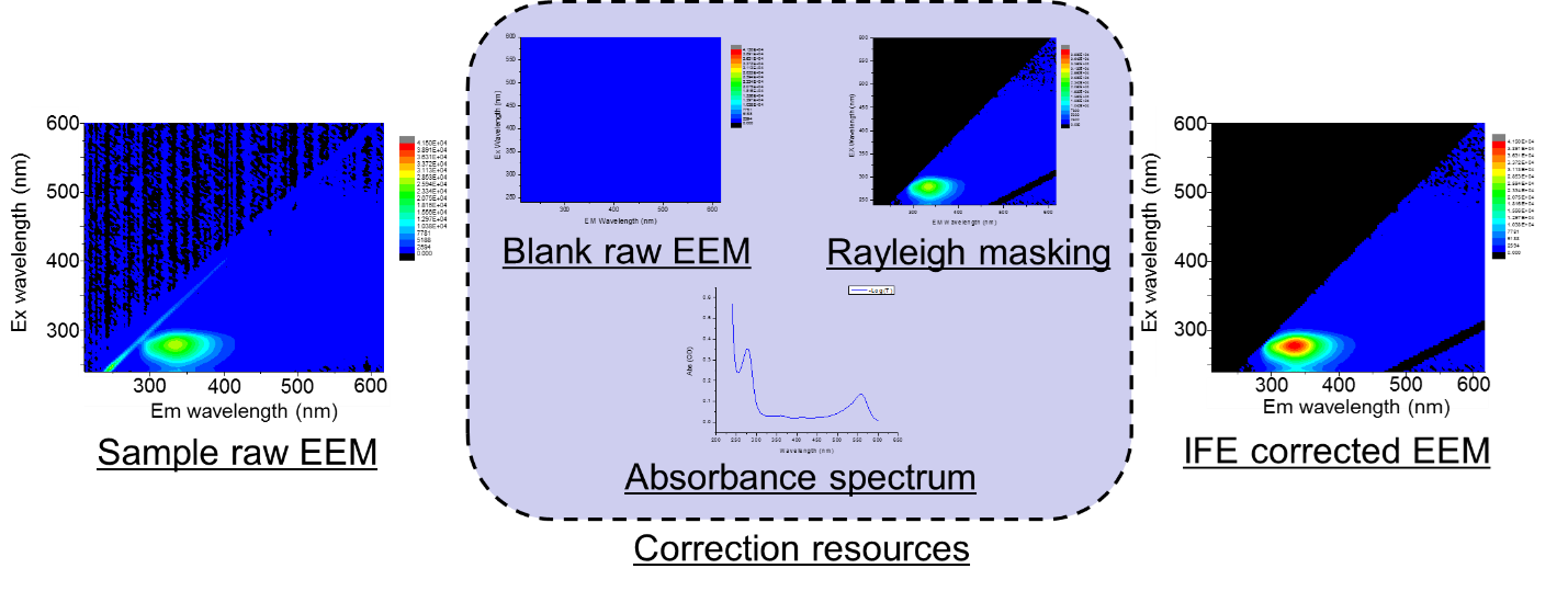 Fluorescence spectroscopy for comprehensive analysis of mammalian cell growth