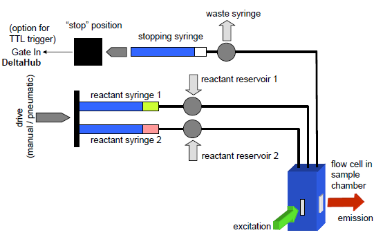 Schematic representation of a stopped flow set up.