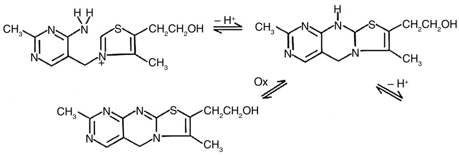 Reaction of thiamine and Hg2+ to form thiachrome.