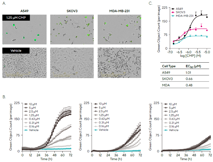Profiling Treatment Effects in Different Cancer Cell Lines