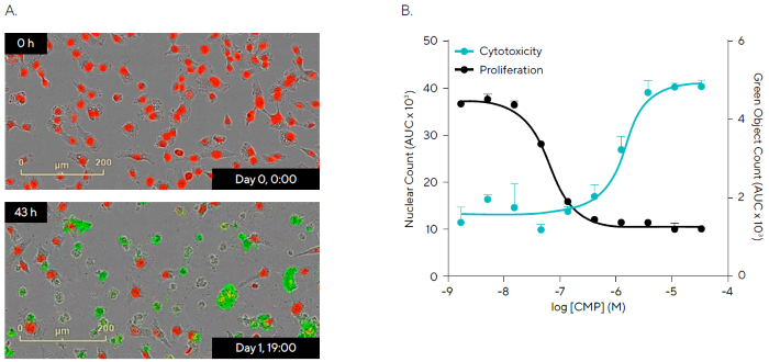 Multiplexed Cytotoxicity Measurements and Live-Cell Counting for Assessment of Compound Effects