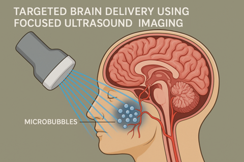 The role of GaGe digitizers in neurological innovation and brain research