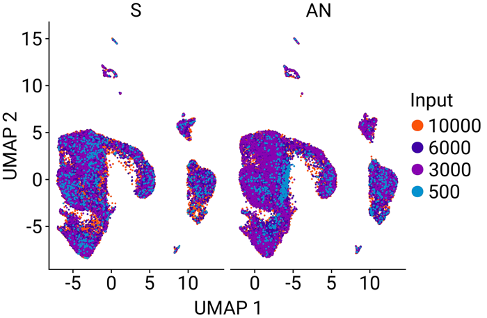 Clustering of all samples reveals common gene signatures. Clustering of all 16 samples revealed no differences between the standard PCR method (S) and AutoNorm (AN), showcasing that the change in workflow does not negatively affect data quality
