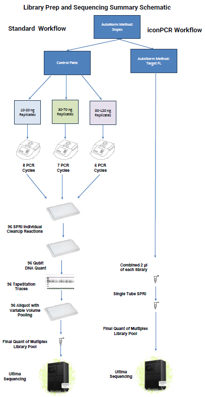 Enhancing high throughput library preparation for genotype-by-sequencing