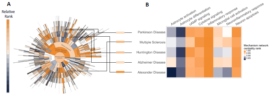 Mechanism centrality in selected Phenotypes