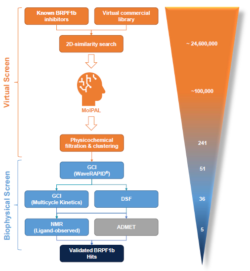 The hit identification process is centred on the MolPAL algorithm and a GCI-driven biophysical hit confirmation workflow. In silico activities are displayed in orange, biophysical screening activities in blue and ADMET profiling in grey. Figures in bracket correspond to the number of compounds processed though each individual stage for the BRPF1b bromodomain.