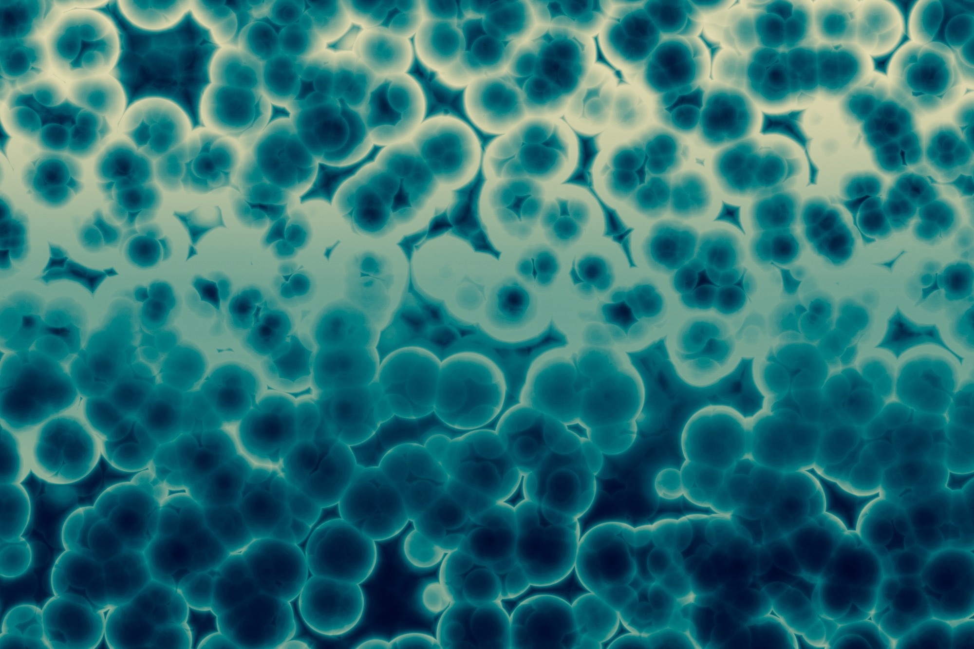 Image Credit: Berke/Shutterstock.com