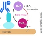 Advancing protein quantification with redox electrochemical detection