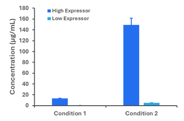 Quantification of His-tagged nanobody samples from two expression conditions. Amperia differentiated high and low expressors in crude lysates