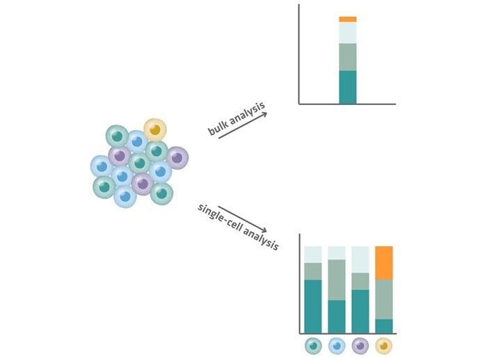 Comparison of bulk analysis (top) and single-cell analysis (bottom). Single-cell analysis reveals cell-to-cell variability and identifies rare transcripts (yellow)