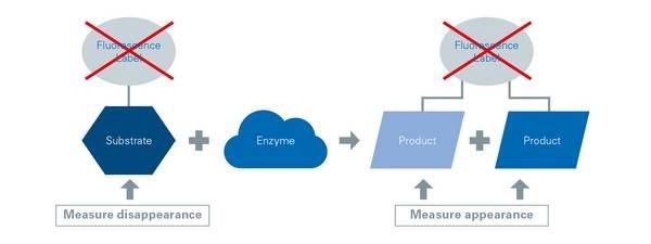 Durg Discovery Workflow with rapifleX MALDI Pharma Pulse