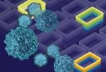 Cell and Gene Therapy Development Using Real-time PCR and Digital PCR