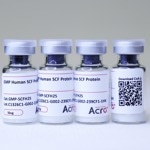 ACROBiosystem's GMP Human SCF Protein