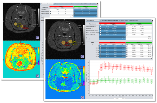 Interactive navigation including immediate update of parameter map.