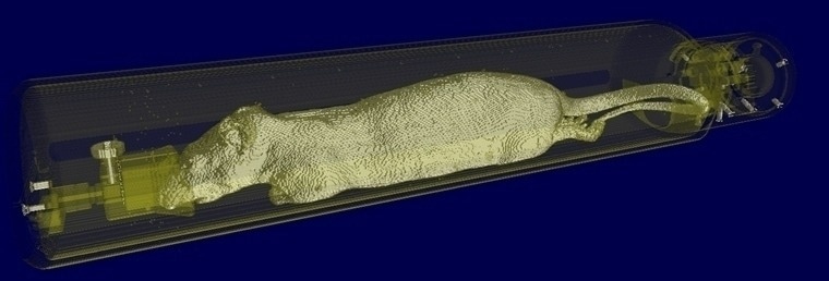 Automatic MR based Attenuation Correction (AC), calculating for animal cradle, MRI RF coil, and full animal body.