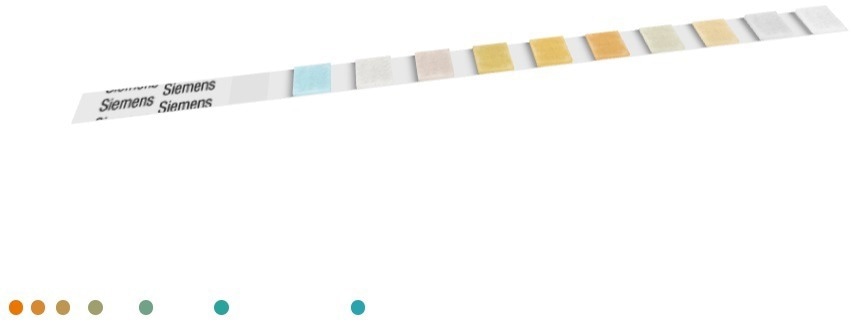 Multistix® 10 SG reagent strips