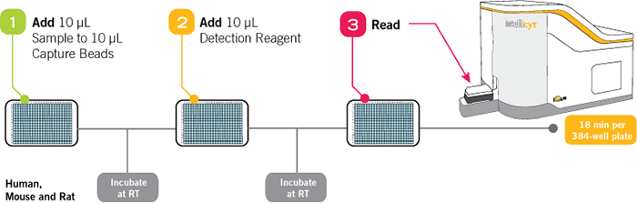 Immunoassay Kits: iQue Qbeads®
