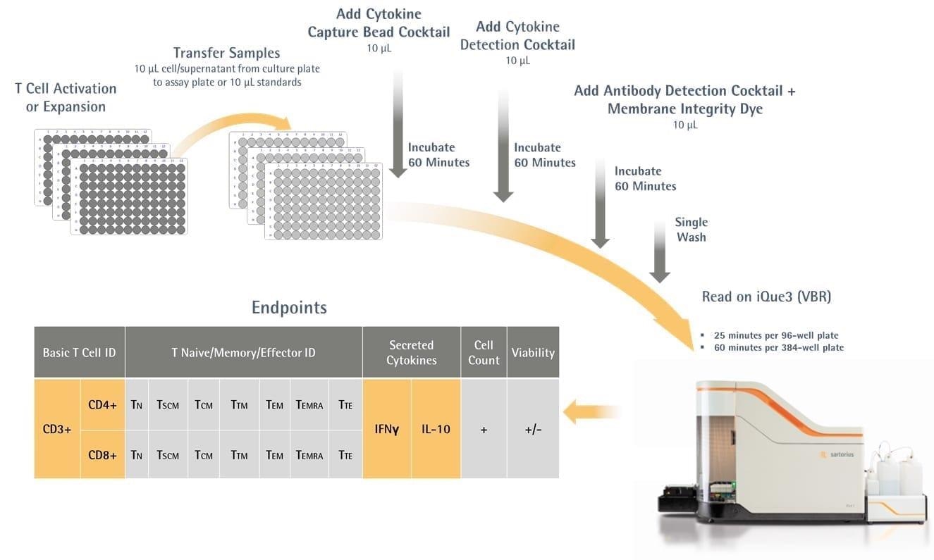 iQue® Immune Cell-based kits for immunophenotyping and function