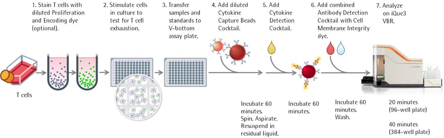 iQue® Immune Cell-based kits for immunophenotyping and function