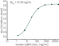 CAR-NK Cell Therapy: Therapeutic and recombinant targets