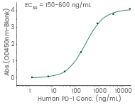 CAR-NK Cell Therapy: Therapeutic and recombinant targets