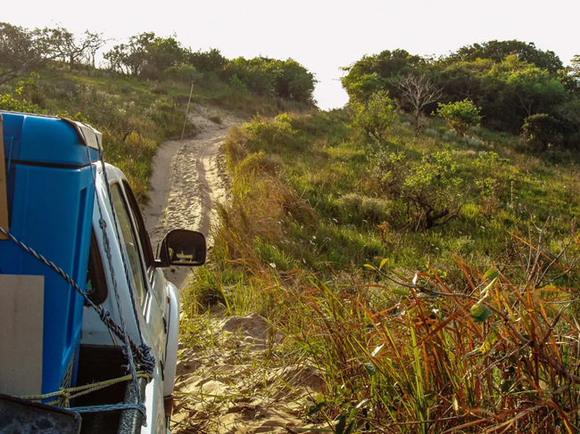 Solar direct drive vaccine refrigerator and ice-pack freezer TCW40SDD