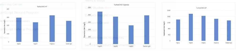 TurboCHO system for recombinant antibody expression in mammalian cells