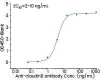 Multi-pass transmembrane virus-like particle (VLP) proteins