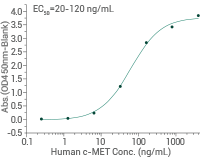 ADC target antigens in solid tumors