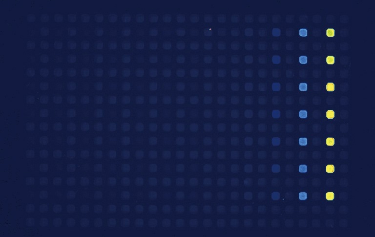 FDSS-GX Kinetic Plate Imager for HTS