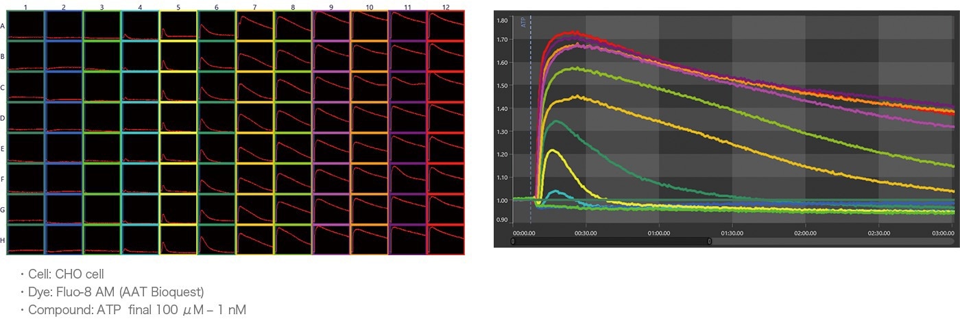 FDSS-GX Kinetic Plate Imager for HTS