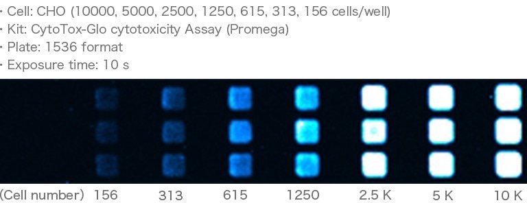 FDSS-GX Kinetic Plate Imager for HTS