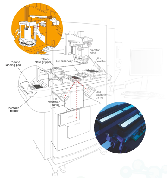 Superior FLIPR® Penta for high-throughput cellular screening