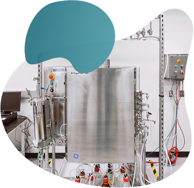 Custom research-grade oligo synthesis