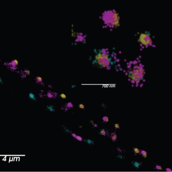 Vutara VXL-Super-resolution microscopy workstation